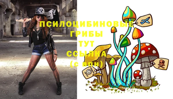 тгк Алзамай