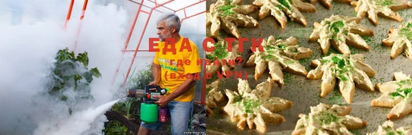 тгк Алзамай