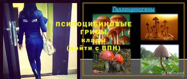 гидра Алексин